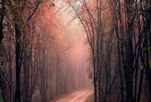 奥格斯堡豪取大胜，球队士气正盛