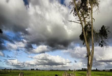 捷克队逆袭智利,欧洲杯预选赛更加激烈