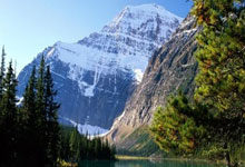 犹他爵士战胜太阳，尤excuses分领衔小节打队崛起胜场